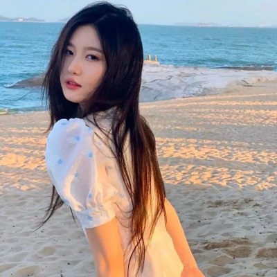 天网行动2019
