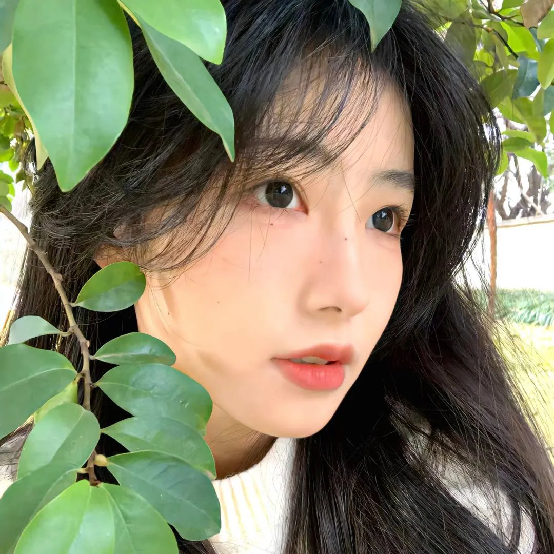 盲目锡哂你